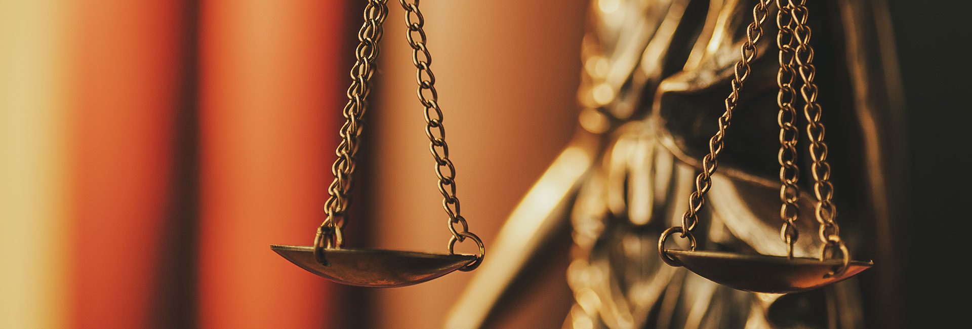 title_69376030a5afc12873152121765236784