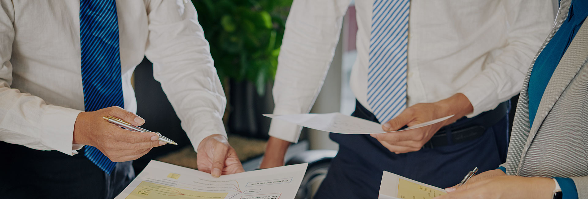 title_69376030a5b2f19000991951765236784